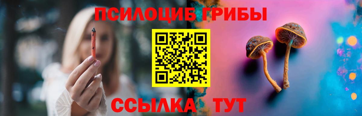 Псилоцибиновые грибы ЛСД Шелехов